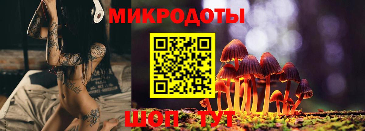 Юрга  Псилоцибиновые грибы Magic Shrooms  Вход с VPN 